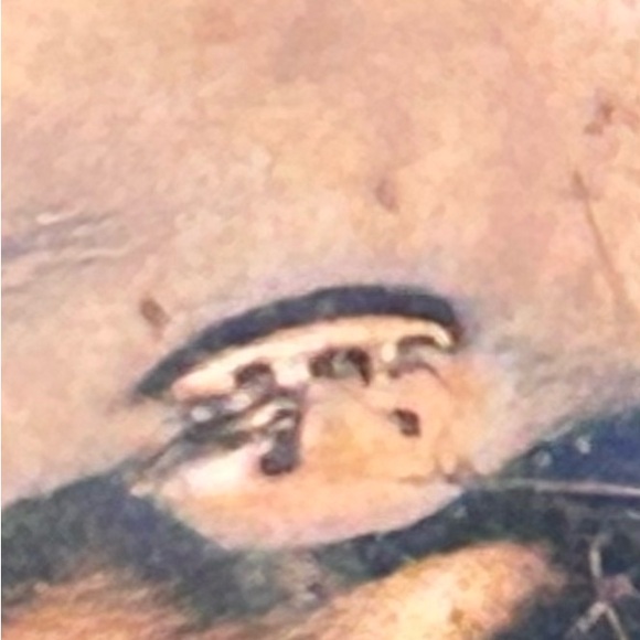 Sonoran Gold Turquoise Sterling Silver Necklace Southwest - Picture 6 of 6